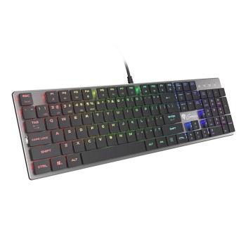 GENESIS Thor 420 RGB klawiatura Gaming USB AZERTY US English Srebrny