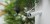 Y7M4D5E570Q0m117k6p3a1s2Q708x2t2.jpg