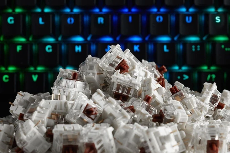 O0I2L8c0o0K0G1H7M1y8n676c855h1t4.jpg