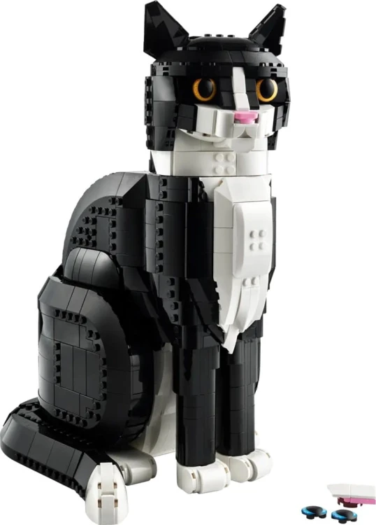 O7G9C6g5o0u0j1M7T368G1l5p8M8L2U4.jpg