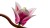 U6A7d3e9w0S0M1l7U79000M3g9Q7Y1W6.jpg