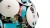 U4U3S9m4e0H0F1V7B629d7b6V9b4B7n0.jpg