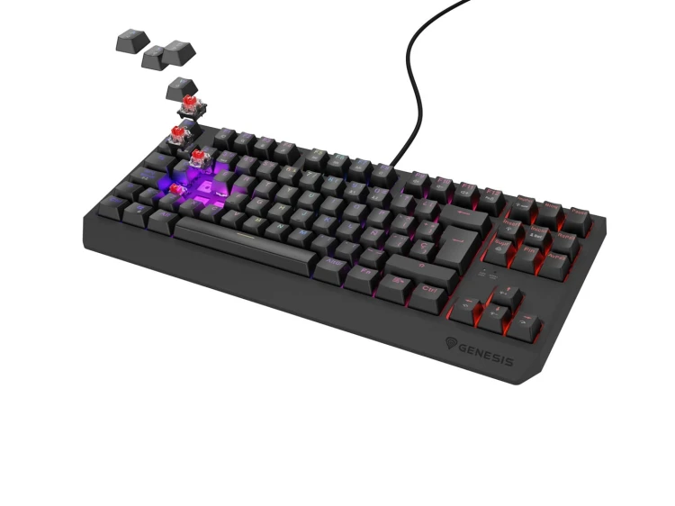 P488X2t0R0b091z7K3K754N9d2I4b3r9.jpg